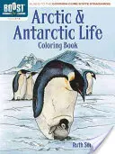 Omaľovánky Arktídy a Antarktídy, 3. - 5. ročník - Arctic and Antarctic Coloring Book, Grades 3-5