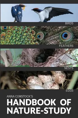 Príručka o farebnej prírode - Vtáky - The Handbook Of Nature Study in Color - Birds