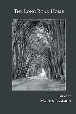 Dlhá cesta domov - The Long Road Home