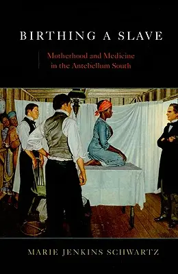 Narodenie otroka: Materstvo a medicína na juhu v období Antebellum - Birthing a Slave: Motherhood and Medicine in the Antebellum South
