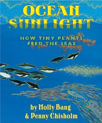 Slnečné svetlo oceánu: Ako drobné rastliny živia moria - Ocean Sunlight: How Tiny Plants Feed the Seas