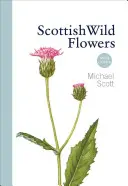 Škótske divoké kvety: Mini sprievodca - Scottish Wild Flowers: Mini Guide
