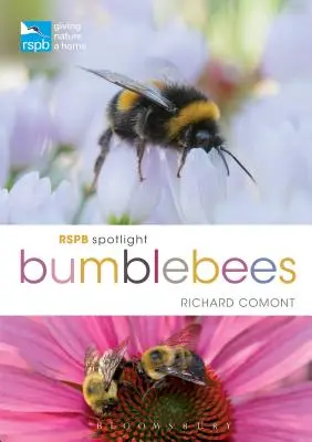 Čmeliaky v centre pozornosti RSPB - RSPB Spotlight Bumblebees