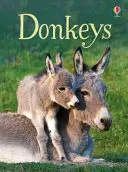 Oslíci - Donkeys