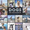 Psy na Instagrame - Dogs on Instagram