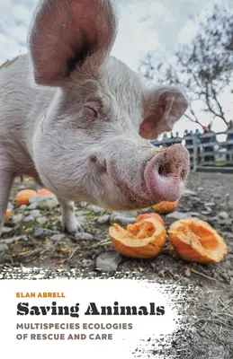 Záchrana zvierat: Viacdruhové ekológie záchrany a starostlivosti - Saving Animals: Multispecies Ecologies of Rescue and Care