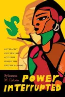 Power Interrupted (Prerušená moc): Antirasistický a feministický aktivizmus v OSN - Power Interrupted: Antiracist and Feminist Activism inside the United Nations