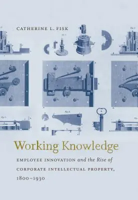 Pracovné vedomosti: Inovácie zamestnancov a vzostup podnikového duševného vlastníctva v rokoch 1800 - 1930 - Working Knowledge: Employee Innovation and the Rise of Corporate Intellectual Property, 1800-1930