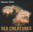 Morské tvory - Sea Creatures