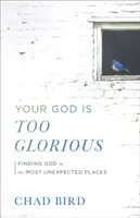 Tvoj Boh je príliš slávny - Your God Is Too Glorious