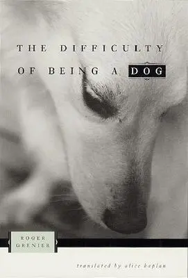 Ťažkosti byť psom - The Difficulty of Being a Dog