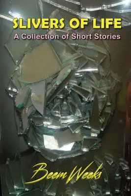 Kúsky života: Zbierka krátkych príbehov - Slivers of Life: A Collection of Short Stories