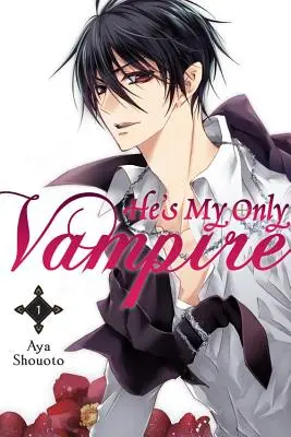 On je môj jediný upír, zväzok 1 - He's My Only Vampire, Volume 1
