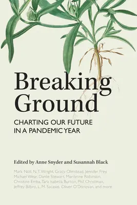 Prelomenie základov: V roku pandémie: mapovanie našej budúcnosti - Breaking Ground: Charting Our Future in a Pandemic Year