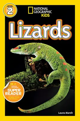 Jaštery - Lizards