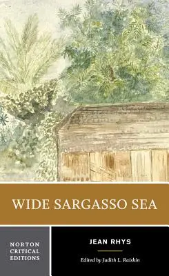 Široké Sargasové more: Sarkasové pobrežie: pozadie, kritika - Wide Sargasso Sea: Backgrounds, Criticism