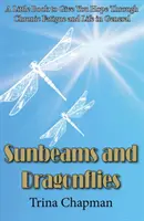 Slnečné lúče a vážky - Malá kniha, ktorá vám dodá nádej pri chronickej únave a v živote vôbec - Sunbeams and Dragonflies - A Little Book to Give You Hope Through Chronic Fatigue and Life in General