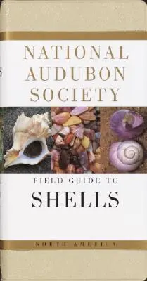 Terénny sprievodca Severnej Ameriky pre morské mušle Národnej Audubonovej spoločnosti (National Audubon Society Field Guide to North American Seashells) - National Audubon Society Field Guide to North American Seashells