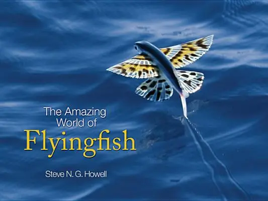 Úžasný svet lietajúcich rýb - The Amazing World of Flyingfish