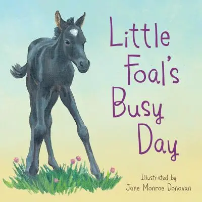 Rušný deň malého žriebätka - Little Foal's Busy Day