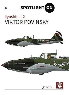 Iljušin Il-2 - Ilyushin Il-2