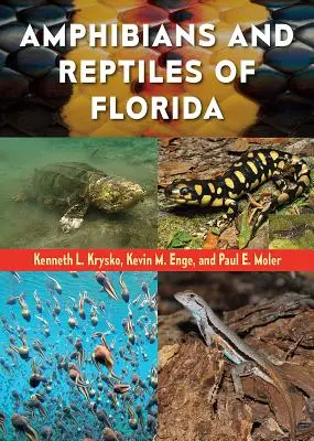 Obojživelníky a plazy Floridy - Amphibians and Reptiles of Florida