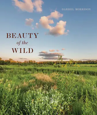 Krása divočiny: Život pri navrhovaní krajiniek inšpirovaných prírodou - Beauty of the Wild: A Life Designing Landscapes Inspired by Nature