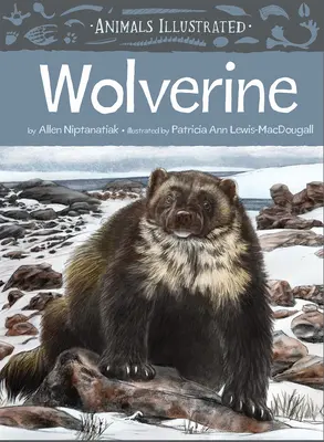Ilustrované zvieratá: Rosomák - Animals Illustrated: Wolverine
