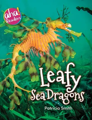 Listnatí morskí draci - Leafy Sea Dragons
