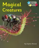 Magické bytosti - Fáza 5 - Magical Creatures - Phonics Phase 5