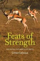 Silové výkony: Ako evolúcia formuje atletické schopnosti zvierat - Feats of Strength: How Evolution Shapes Animal Athletic Abilities
