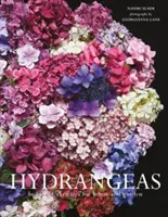 Hortenzie - Krásne odrody pre dom a záhradu - Hydrangeas - Beautiful varieties for home and garden