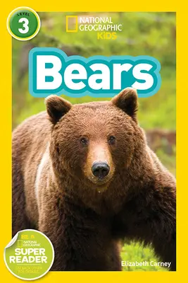 Medvede - Bears