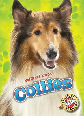 Kolie - Collies