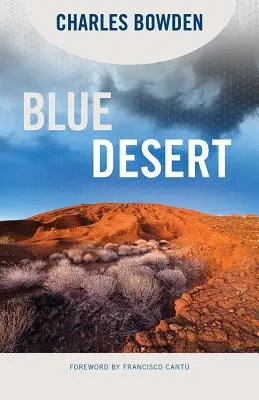 Modrá púšť - Blue Desert
