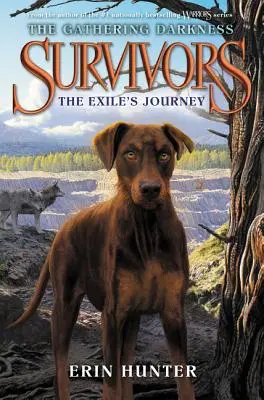 Pozostalí: The Gathering Darkness: The Exile's Journey - Survivors: The Gathering Darkness: The Exile's Journey
