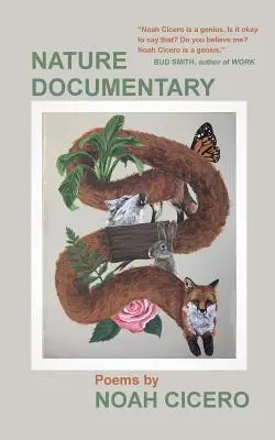 Dokumentárny film o prírode: Básne - Nature Documentary: Poems