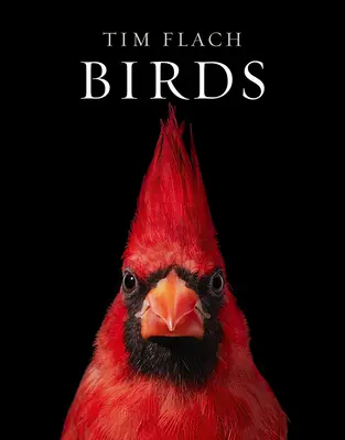 Vtáky - Birds