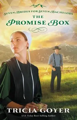 Krabička na sľuby - The Promise Box