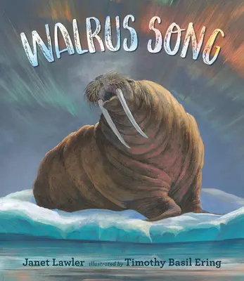 Pieseň o mroži - Walrus Song