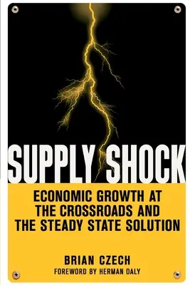 Ponukový šok: Hospodársky rast na križovatke a riešenie stabilného stavu - Supply Shock: Economic Growth at the Crossroads and the Steady State Solution