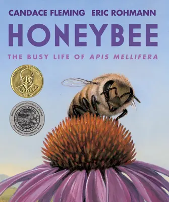 Včielka medonosná: Rušný život API Mellifera - Honeybee: The Busy Life of APIs Mellifera