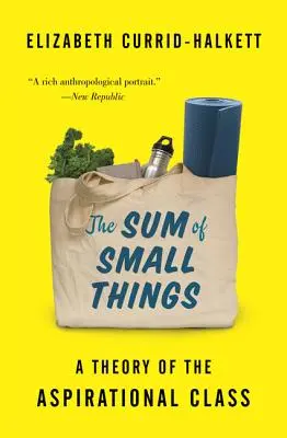 Suma malých vecí: Teória ašpiračnej triedy - The Sum of Small Things: A Theory of the Aspirational Class