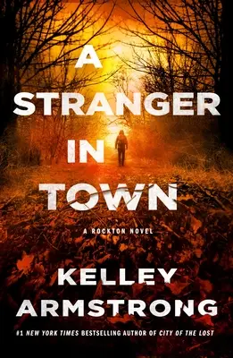 Cudzinec v meste: román z Rocktonu - A Stranger in Town: A Rockton Novel
