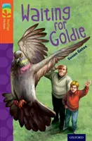 Oxford Reading TreeTops TreeTops Fiction: Úroveň 13: Čakanie na Goldieho - Oxford Reading Tree TreeTops Fiction: Level 13: Waiting for Goldie