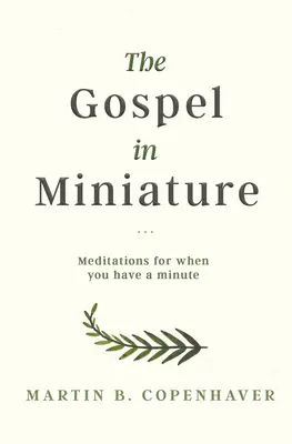 Evanjelium v miniatúre: Keď máš chvíľu času, rozjímaj - The Gospel in Miniature: Meditations for When You Have a Minute