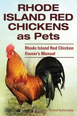 Rhode Island Red Chickens as Pet. Príručka pre majiteľov červených rhodeislandských kurčiat - Rhode Island Red Chickens as Pets. Rhode Island Red Chicken Owner's Manual