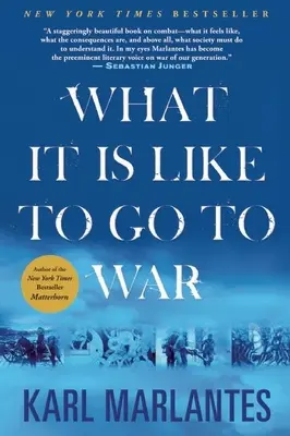 Aké je to ísť do vojny - What It Is Like to Go to War