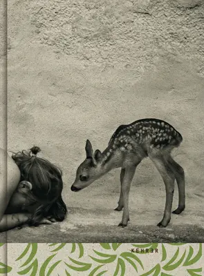 Leto plavovlásky - Summer of the Fawn