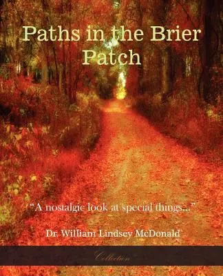 Cesty v Brier Patch - Paths in the Brier Patch